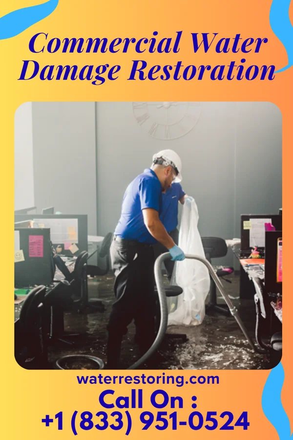 Commercial Water Damage Restoration in Lindstrom, MN
