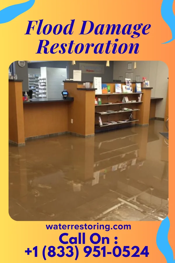 Flood Damage Restoration in Lindstrom, MN