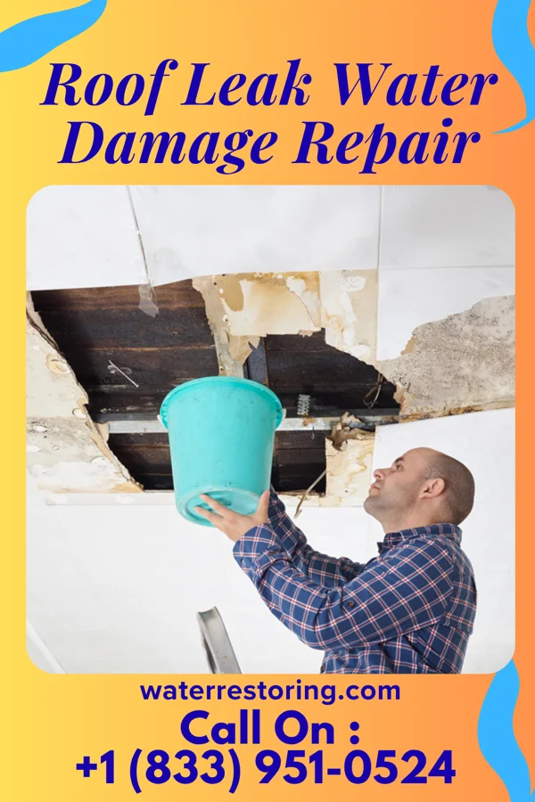 Roof Leak Water Damage Repair in Lindstrom, MN
